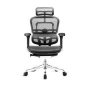 Ergonor 保友办公家具 金豪E 人体工学电脑椅