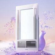 AUPU 奥普 E161 风暖浴霸（超薄风暖+大LED照明）