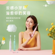 博皓（prooral） T09电动牙刷成人充电式声波震动全自动软毛美白防水护牙可做情侣牙刷多模式洁牙 柔云白