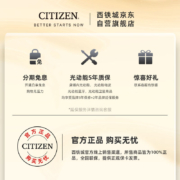 西铁城(CITIZEN) 手表 光动能多局电波不锈钢表带万年历多功能男表CB0150-62L