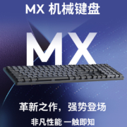 罗技（Logitech） MX Mechanical/mini无线蓝牙双模机械键盘笔记本台式电脑办公 84键mini 青轴