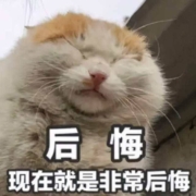 大声说出系列，双11期间你买了多少东西？最后悔的是什么？