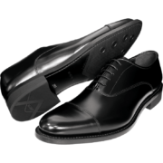 REGAL丽格日本品牌正装牛津鞋男鞋新郎婚鞋英伦风皮鞋T29B BJP(黑色) 43