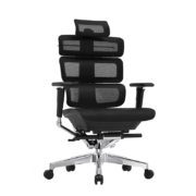 迩高迈思（Ergomax） Evolution2 Max人体工学电脑椅网椅家用办公椅子电竞椅游戏椅 Max版 魅力黑+畅躺架