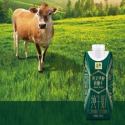 伊利 金典 梦幻盖 娟姗高钙纯牛奶礼盒 250ml*10盒/箱