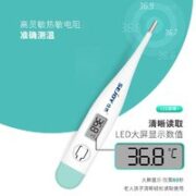 仕杰 体温计家用婴儿电子测温计精准快速 硬头款DMT-101