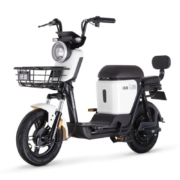 绿源48v24a锂电电动自行车ZFA成人男女小型代步接娃长跑王电瓶车