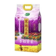 88vip:十月稻田 香稻贡米 5kg
