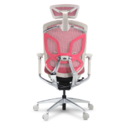 有谱 蝴蝶 人体工学椅 游戏电脑椅 电竞椅 老板椅可躺工学椅靠背椅家用办公椅升降椅 灰框粉网