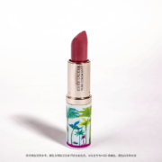 Estee Lauder 雅诗兰黛 倾慕口红 3.5g