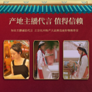 化州橘红 三十年陈化橘红片正宗官方旗舰店化州正毛化桔红胎果片