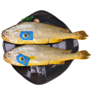 三都港 冷冻三去宁德大黄鱼700g/2条装 黄花鱼 海鱼 生鲜 鱼类 海鲜水产