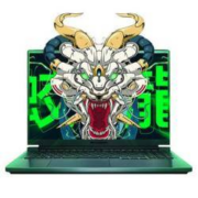 PLUS会员：机械革命蛟龙16 16英寸游戏本   (R7-6800H 16G 512G RTX3050 165Hz)