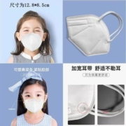 常大仙社群精推 Lv.1  Ta的主页 | QQ交流 学生儿童KN95口罩40片