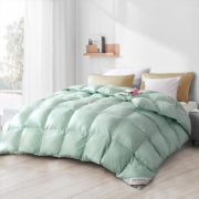闭眼买、PLUS会员：FUANNA 富安娜 超柔鹅绒四季被 1.8m床适用 230*229cm 680g TJ