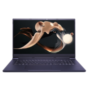 MECHREVO 机械革命 Umi Plus 17.3英寸笔记本电脑（R9-5900HX、32GB、1TB、RTX3070）