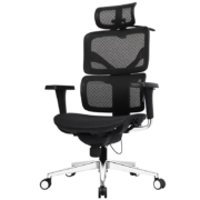 享耀家（WantHome） 【享耀家 F3A】 松林人体工学椅家用电脑椅办公椅职员椅老板椅电竞椅网椅 幻影黑 网布坐垫