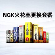 NGK 汽车火花塞套餐（某电商养车）