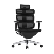迩高迈思（Ergomax） Evolution2人体工学电脑椅网椅家用办公椅子电竞椅游戏椅 魅力黑  无畅躺架