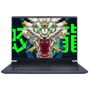 机械革命 蛟龙16 2.5K 240Hz高刷 16英寸游戏电竞笔记本电脑(R7-6800H 16G 512G RTX3060满血)