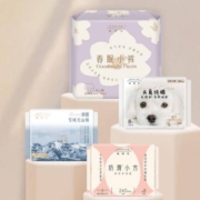她研社 日夜呵护卫生巾奶滑小方日用4片+春眠小裤2条