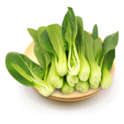 限地区、概率券：上海青   新鲜小油菜 600g 简装