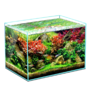 YEE桌面超白玻璃小鱼缸迷你生态造景方形鱼缸水族箱客厅小型金鱼缸 18cm超白标准套餐