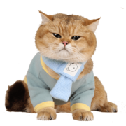 欢宠网 宠物猫咪狗狗衣服幼小中型犬猫狗泰迪比熊雪瑞纳吉娃娃猫猫秋冬四季服装外套用品 蓝绿色M