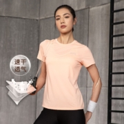 361度短袖t恤男弹力速干2021春夏新款休闲情侣款上衣圆领透气青少年男女运动短袖 清新粉4102(女款) L