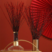 flowerplus 花加 云南基地直发 银柳20枝（60cm）