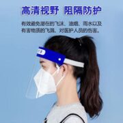 不言而喻 防护面罩 5个装