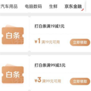 京东 领满19-1/49-2/99-3元 等白条支付券