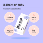 丁香医生 菊部用纸湿厕纸 60抽*4包