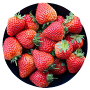 果仙享 新鲜大凉山奶油草莓 1.5斤装*2件
