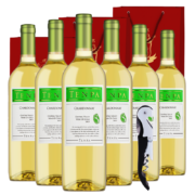 【玫嘉】智利原瓶进口天帕莎当妮//霞多丽干白葡萄酒750ml*6瓶整箱