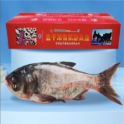 速鲜 查干湖鱼3-4.5斤 精美礼盒 有机认证
