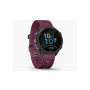 GARMIN 佳明 Forerunner 245 跑步智能手表 010-02120-47