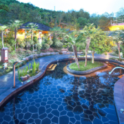 湖南宁乡灰汤华天城温泉度假酒店精品间含双早含2大1小温泉票