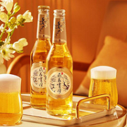 Carlsberg 嘉士伯 风花雪月特酿啤酒 325mL*9瓶