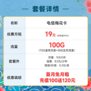 中国电信 电信流量卡5G手机卡低月租电话卡无限量全国通用不限速上网卡 梅花卡19元月租100G+100分钟-LZK