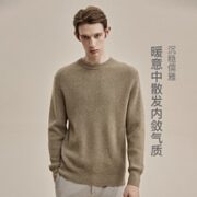 YANXUAN 网易严选 4004686 男士加厚圆领羊绒衫