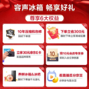 容声(Ronshen)【离子净味】529升变频一级能效对开门双开门冰箱家用无霜除菌BCD-529WD18HP超薄可嵌入大容量