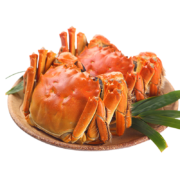 【活蟹】漁家师傅大闸蟹公5-5.3两母3.5-3.8两4对8只足重鲜活螃蟹