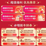 京东年货节 满19-1/49-2/99-3元 等白条支付券