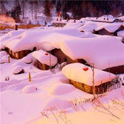 哈尔滨 亚布力雪乡旅游 5天4晚纯玩跟团（ 2晚JW万豪+温泉）