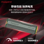 阿斯加特（Asgard） 1TB SSD固态硬盘 M.2接口(NVMe协议PCIe 4.0 x4) AN4 1TB