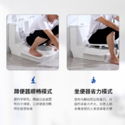 恩域 蹲坐两用一体式马桶双用台式马桶改可蹲可坐二合一座 【蛋型】（平坐盖） 305mm