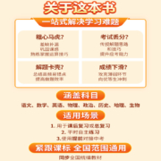 初中易错题七年级八年级上册下册初一初二语文数学英语物理道德与法治历史地理生物同步练习册课本必刷题人教版初中知识点易错题本