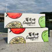 果仙享 国产新鲜葡萄柚 新鲜水果 8斤装大果礼盒