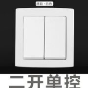 ABB AL102 二开单控
